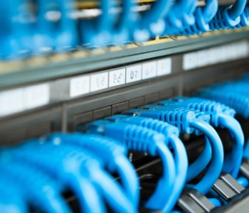network-cables-blue-two